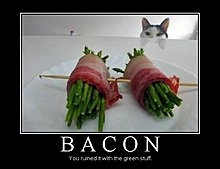 demotivational_bacon.jpg
