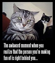 demotivational_behind.jpg