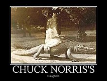 demotivational_chuckdotter.jpg