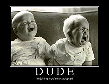 demotivational_dude.jpg