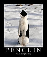 demotivational_penguin.jpg