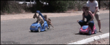 txcex.gif