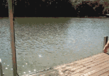 butt-liftoff.gif