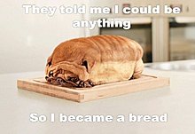 bread_dog.jpg