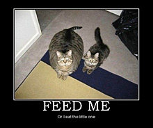 feedme.jpg