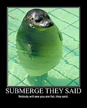 submerge.jpg