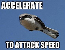 accelerate.jpg