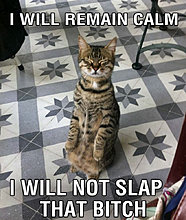 calm.jpg
