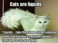 cats.jpg