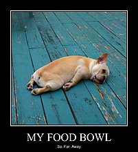 food.jpg
