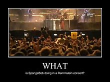 sponge.jpg