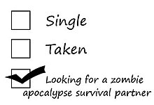 single.jpg