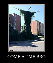 come.jpg