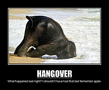 hangover.jpg