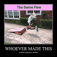 swine_flew.jpg