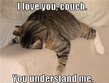 couch.jpg