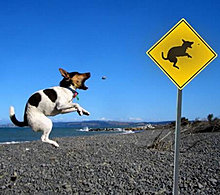 sign.jpg
