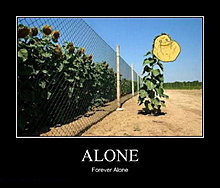 alone.jpg
