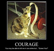 courage.jpg