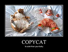 copycat.jpg