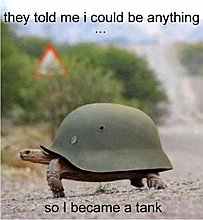 tank.jpg
