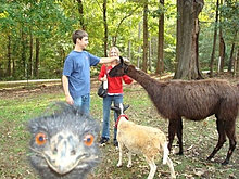 photobomb_4.jpg