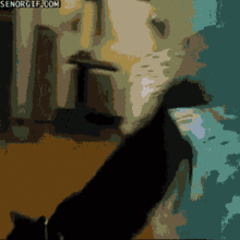 getin.gif
