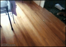 apvgvrk_460sa.gif