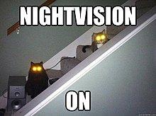 funny_07.jpg