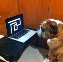 gifs_scary.gi.gif