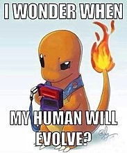 funny_gamer_06.jpg