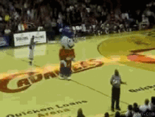 6-kklqtf1.gif