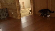 figh.gif