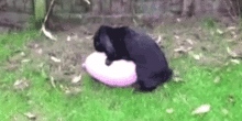 fun_pics_for_adults_26.gif