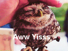 s-great-_b72ee8f86f3d6b7fa32617032993f84e.gif