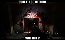 funny_pics_04.jpg