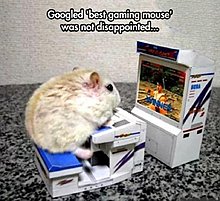 funny_gaming_image_69.jpg