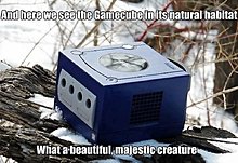 funny_gaming_image_118.jpg