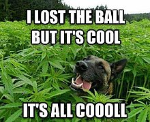 its_all_cool.jpg