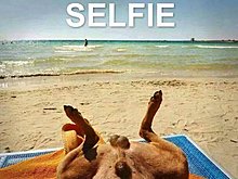 selfie_de_vara.jpg