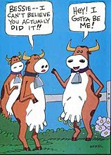 funny_pic_02.jpg