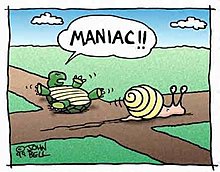 funny_pic_05.jpg