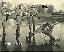 hammerzeit.jpg