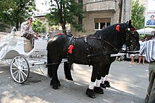 img_3602.jpg