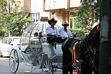 img_3616.jpg