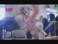 2z6d0fn.gif