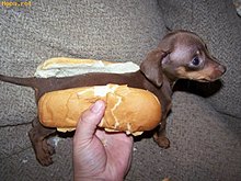 hot_dog_1226412189.jpg