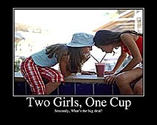 onecup.jpg