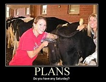 plans.jpg