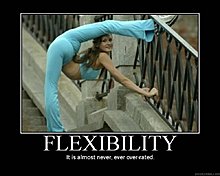 flexibility.jpg